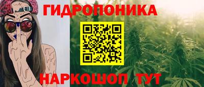 ПСИЛОЦИБИНОВЫЕ ГРИБЫ Заволжье