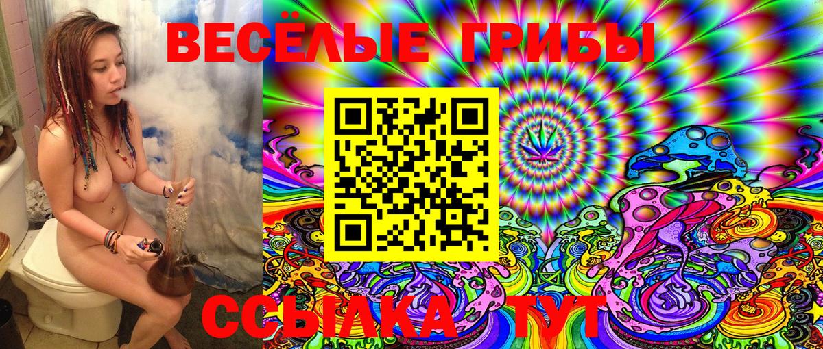 Кондопога  Псилоцибиновые грибы Magic Shrooms  Вход с VPN  Псилоцибиновые грибы Psilocybe 