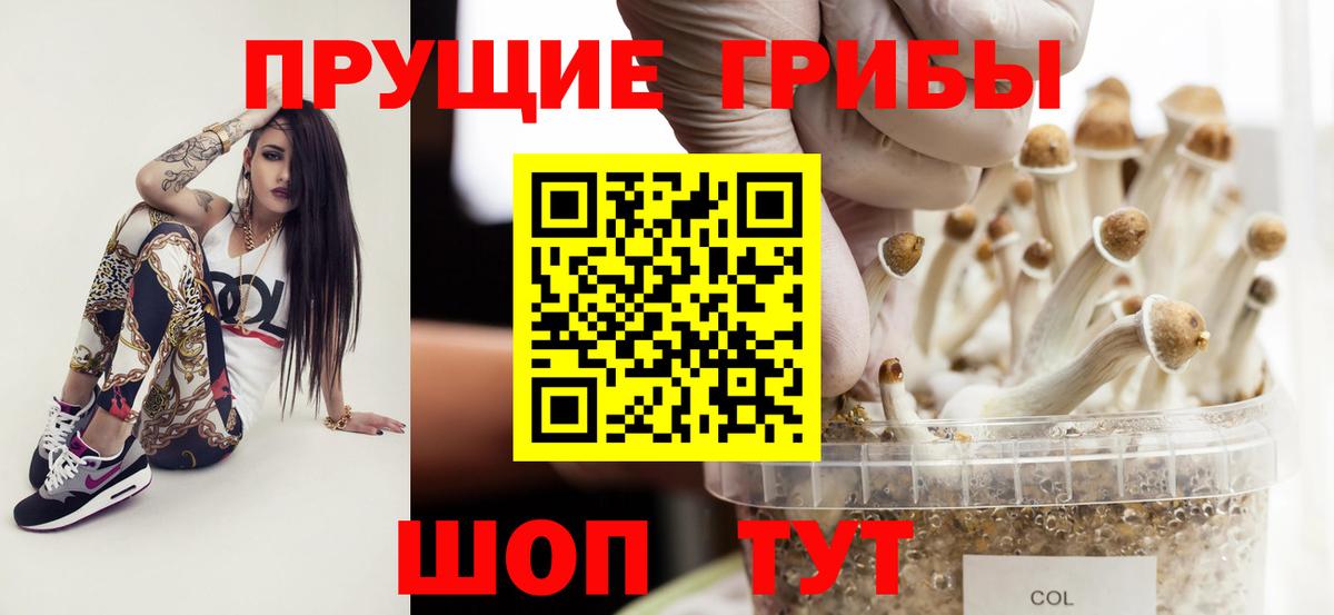 Псилоцибиновые грибы ЛСД Кондопога